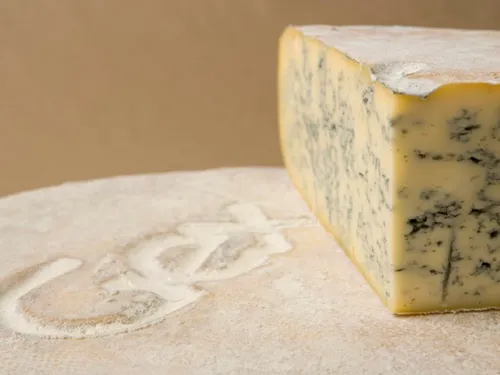 Amateurs de fromages, vous allez craquer pour Le Bleu de Gex